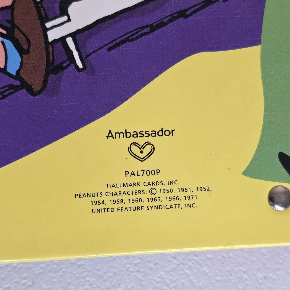 Ambassador measurements height